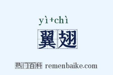 翼翅是什么意思的图片